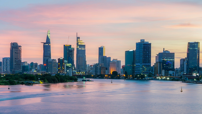 PROFESSIONAL SERVICES